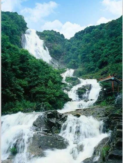 邻居的需求